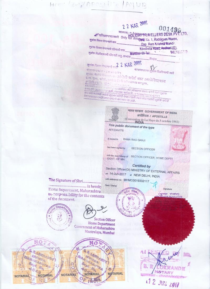 Bachelorhood Certificate apostille for Nederland Image
