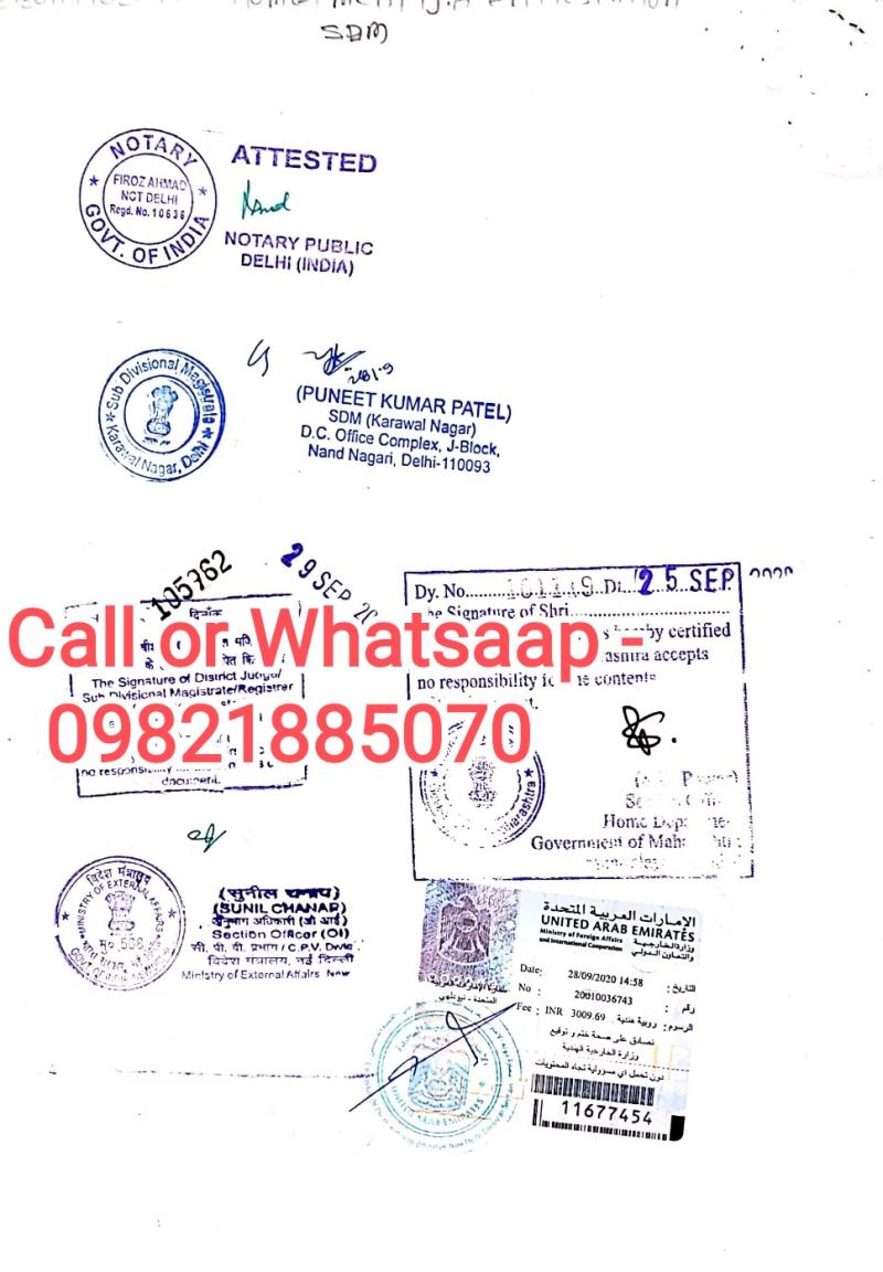 Bachelorhood Certificate for Dubai