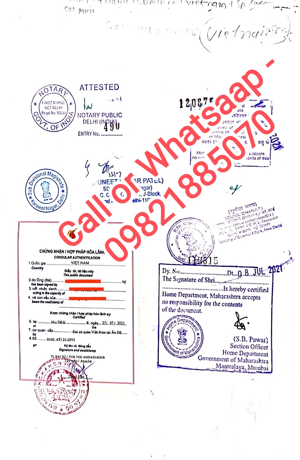 Vietnam Single status Sample