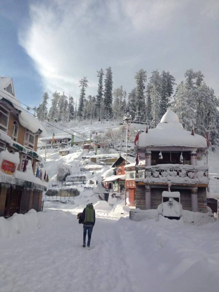 shimla kullu manali